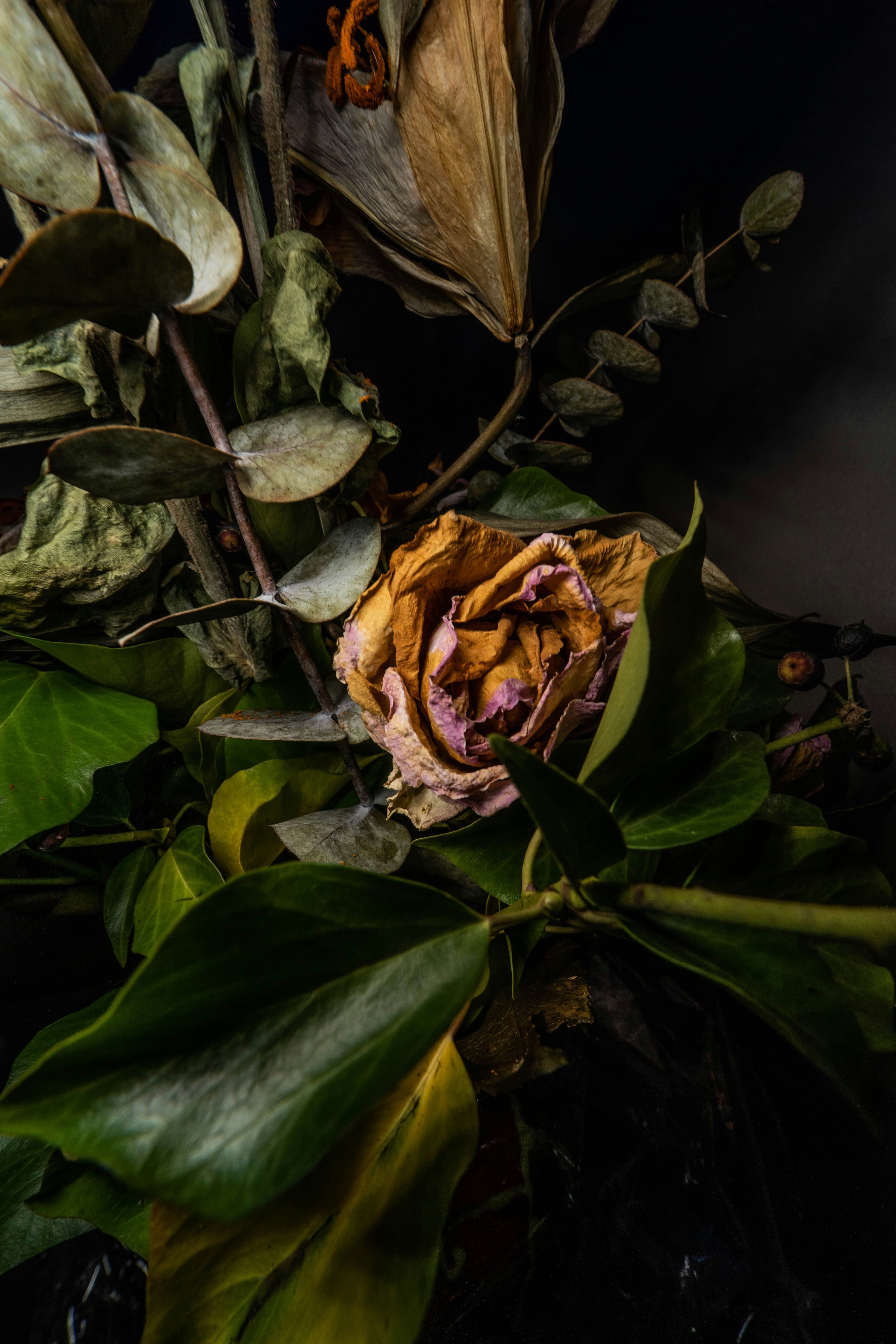 Signs Your Vaginal Microbiome May Be Imbalanced